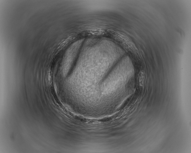 X0000112731298200909031436