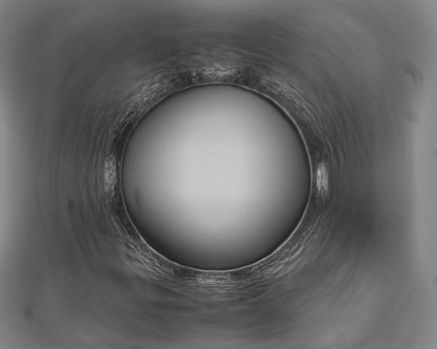 X0000112731299200909031436