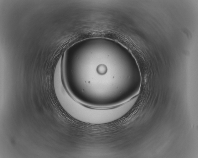 X0000112731300200909031436