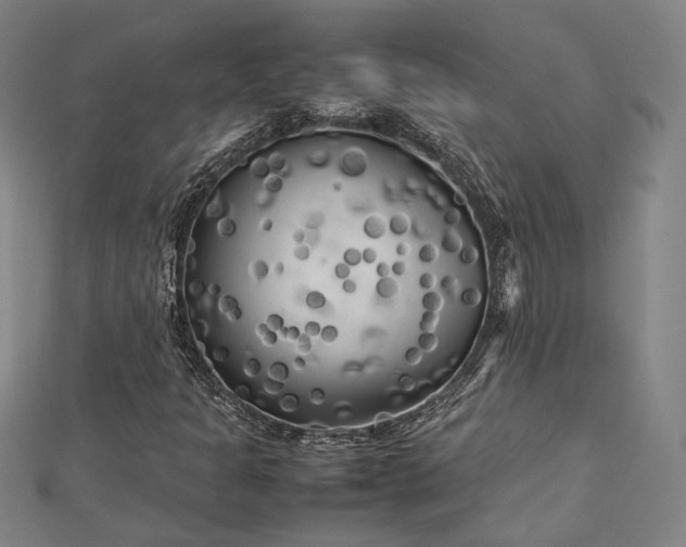 X0000112731301200909031436