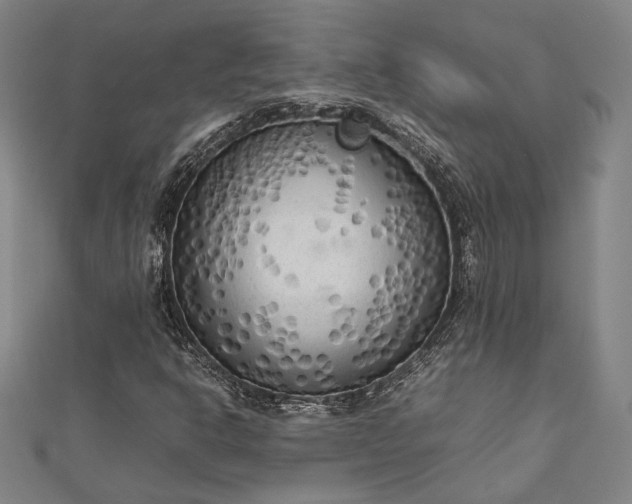 X0000112731302200909031436