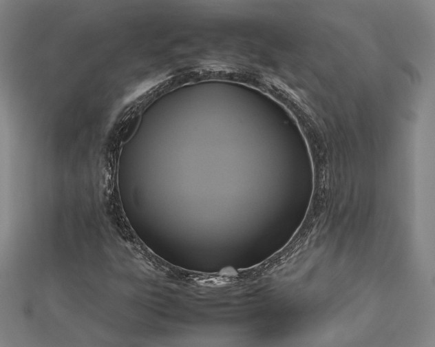 X0000112731303200909031436