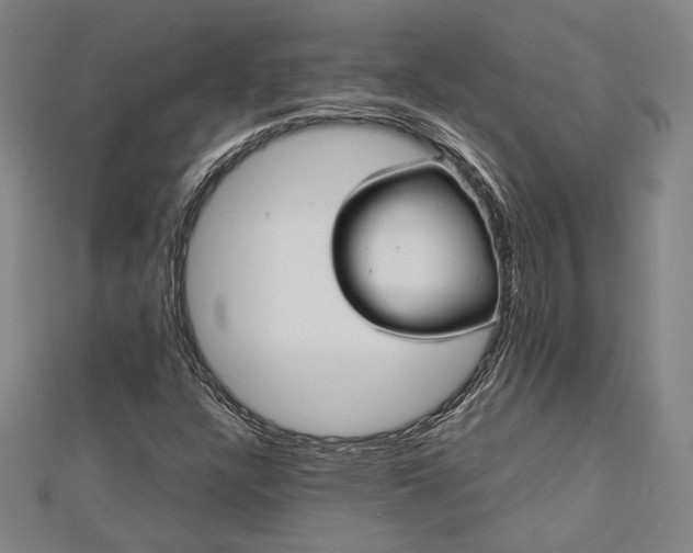 X0000112731304200909031436