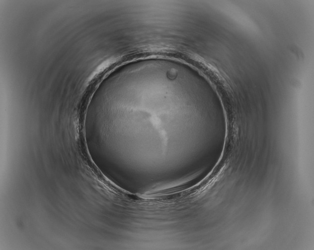 X0000112731306200909031436