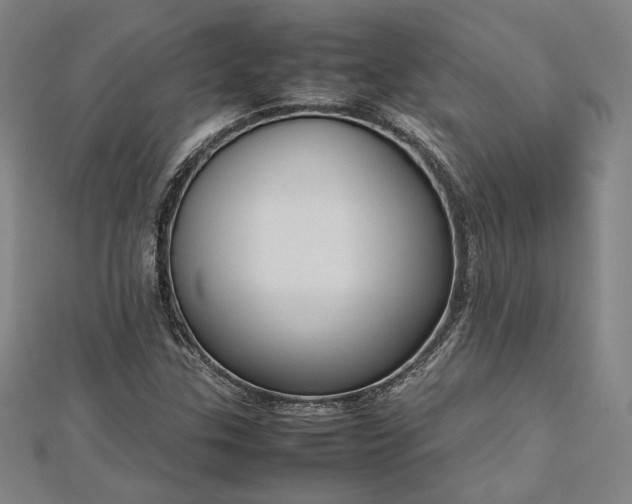 X0000112731307200909031436