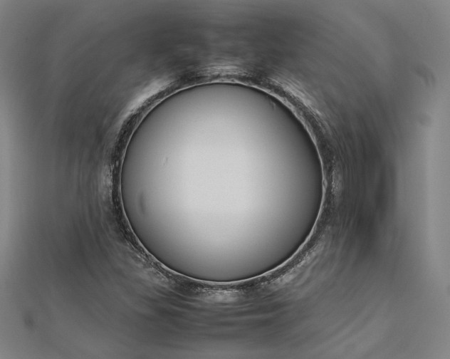 X0000112731309200909031436