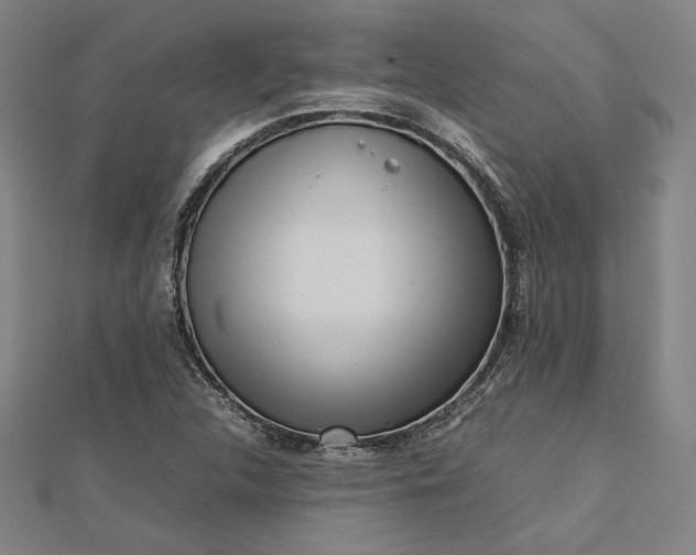 X0000112731312200909031436