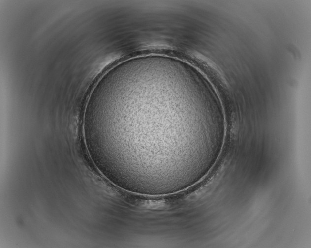 X0000112731313200909031436