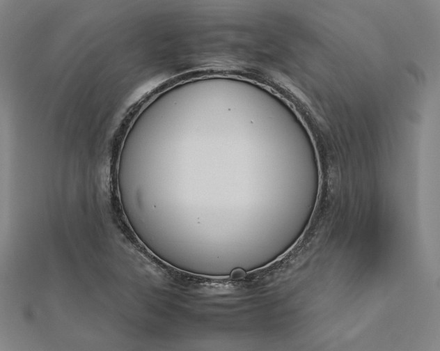 X0000112731315200909031436