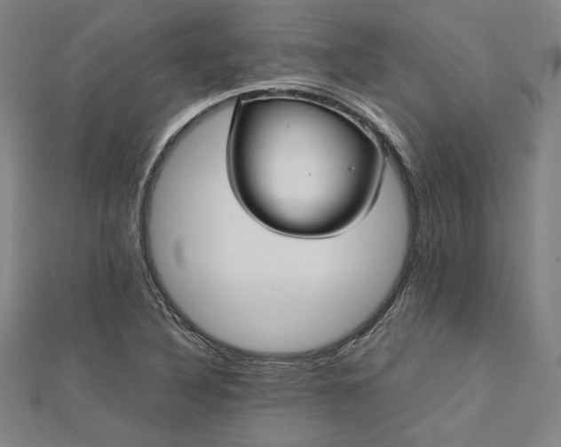 X0000112731316200909031436