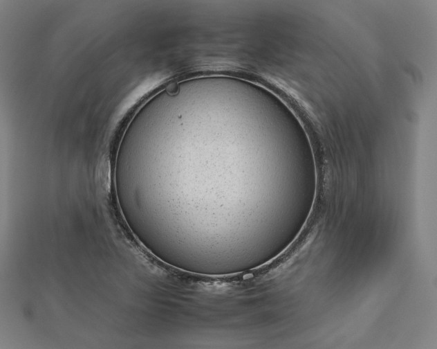 X0000112731317200909031436