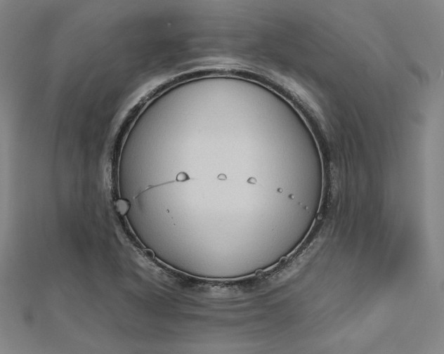 X0000112731318200909031436