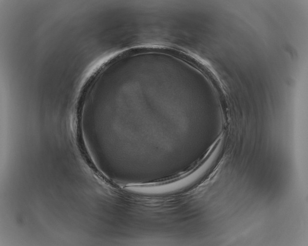 X0000112731319200909031436