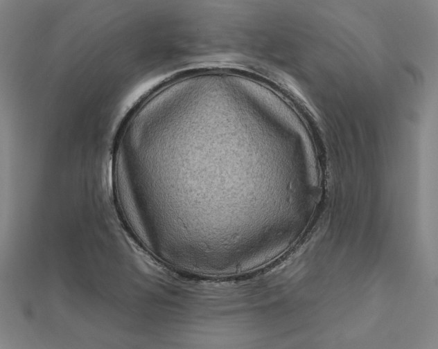 X0000112731320200909031436