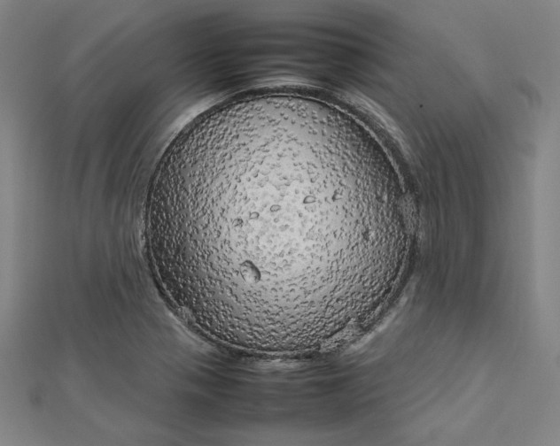 X0000112731321200909031436