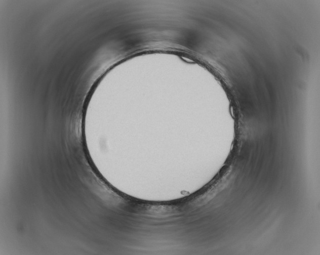 X0000112731322200909031436