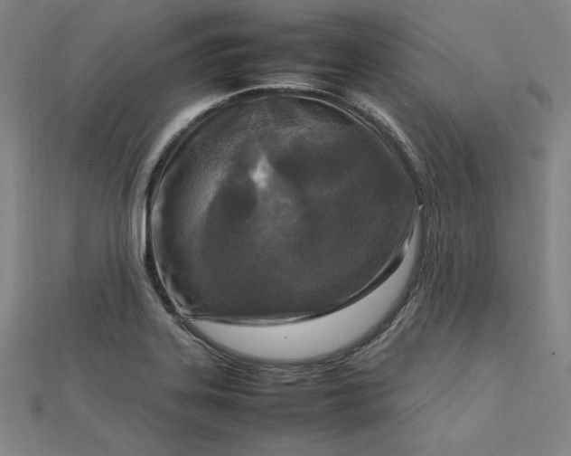 X0000112731323200909031436