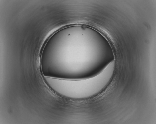 X0000112731324200909031436