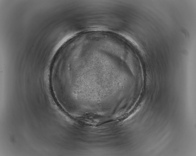 X0000112731325200909031436