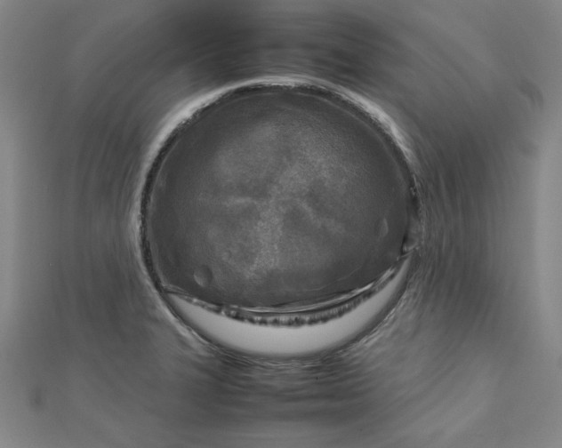 X0000112731327200909031436