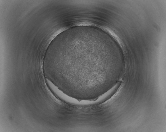 X0000112731329200909031436