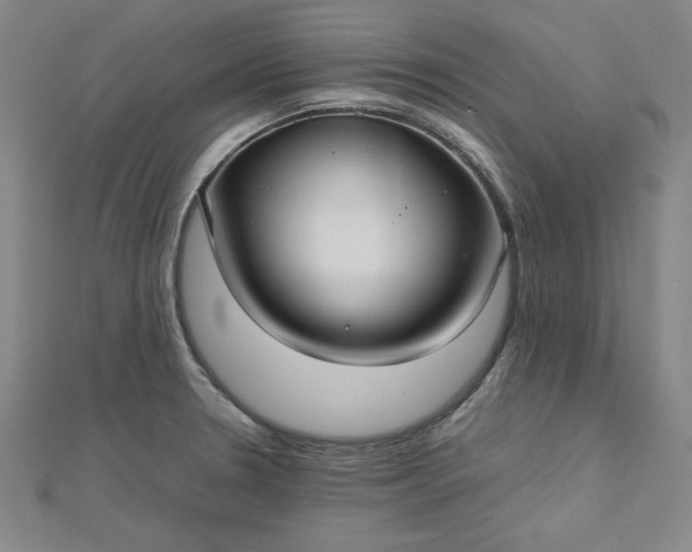 X0000112731330200909031436