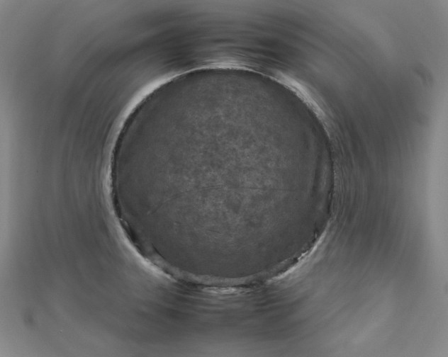 X0000112731331200909031436