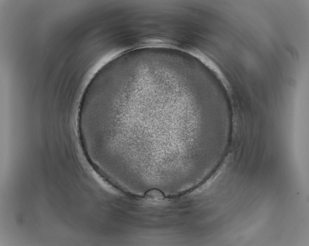 X0000112731333200909031436