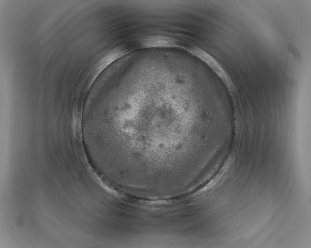 X0000112731337200909031436