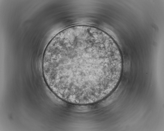 X0000112731338200909031436