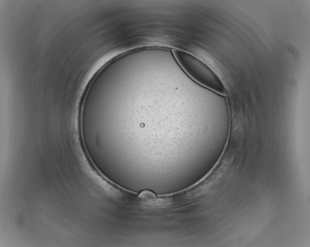 X0000112731339200909031436