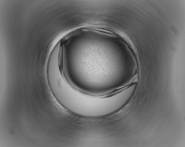 X0000112731344200909031436