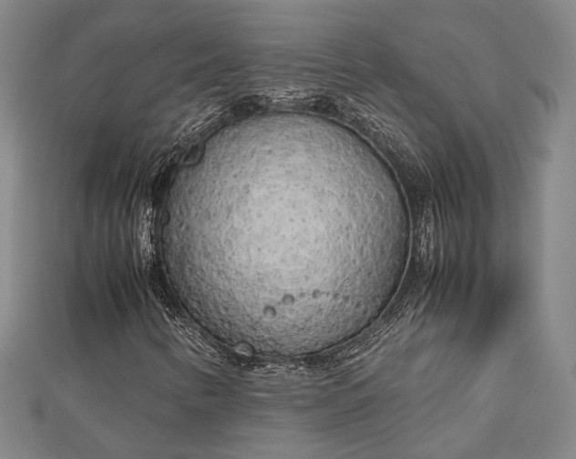 X0000112731346200909031436