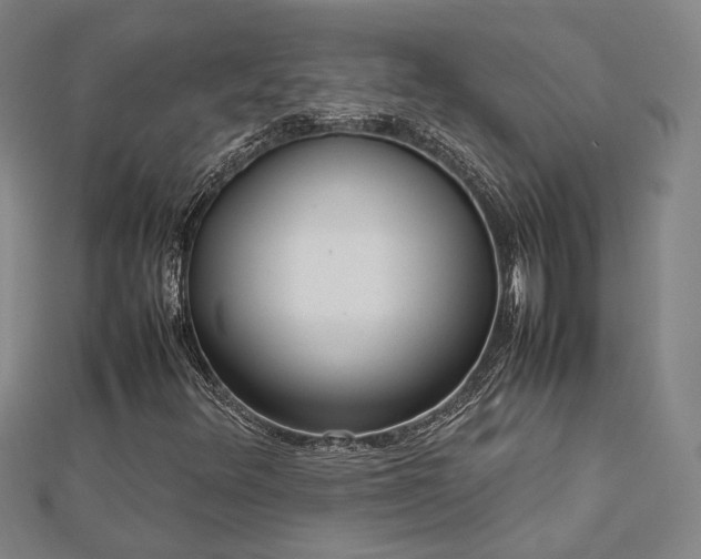 X0000112731348200909031436