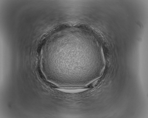 X0000112731349200909031436