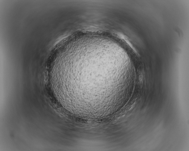 X0000112731350200909031436