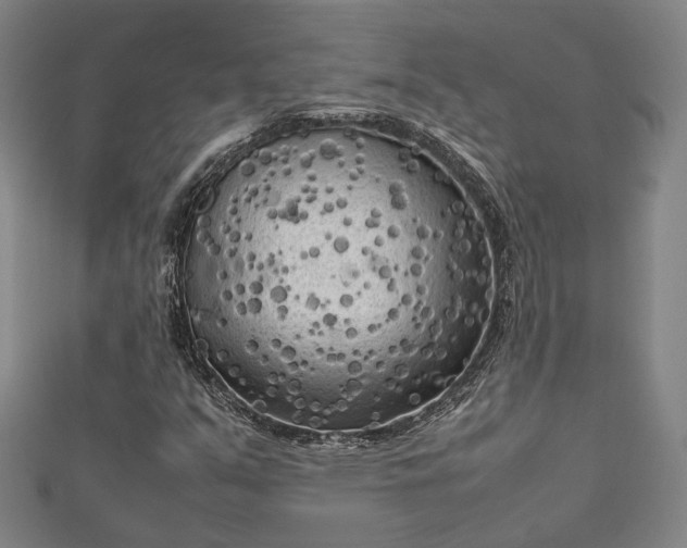 X0000112731351200909031436