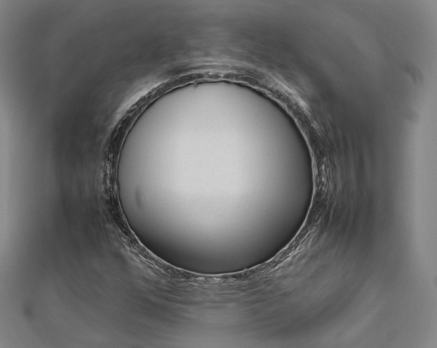 X0000112731352200909031435