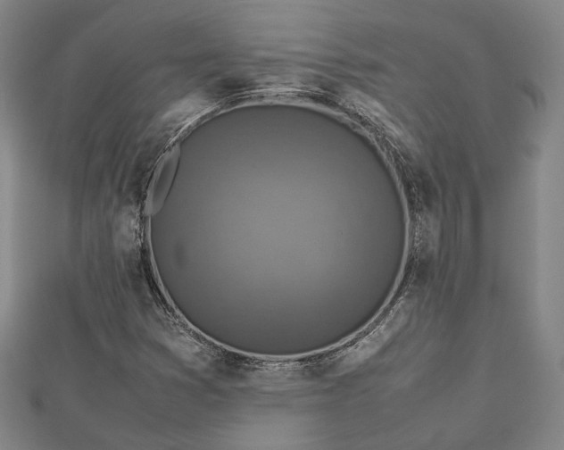 X0000112731353200909031435