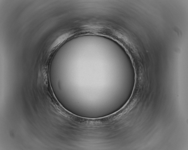 X0000112731354200909031435