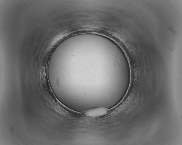 X0000112731355200909031435