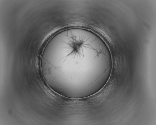 X0000112731356200909031435