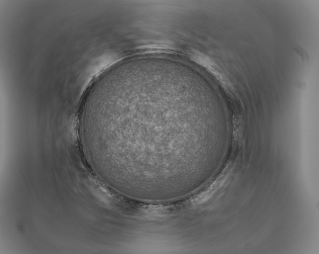 X0000112731357200909031435