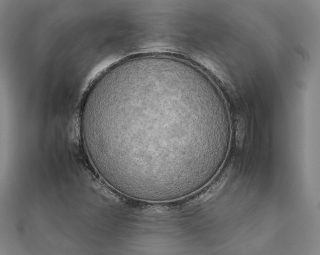 X0000112731358200909031435