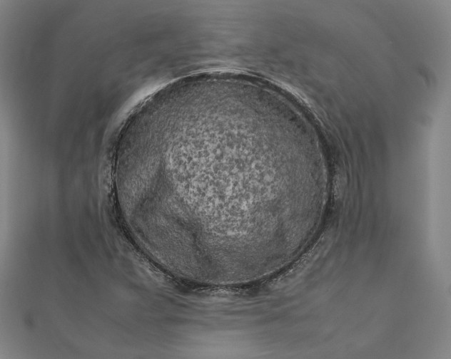 X0000112731359200909031435