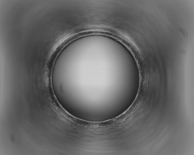 X0000112731360200909031435