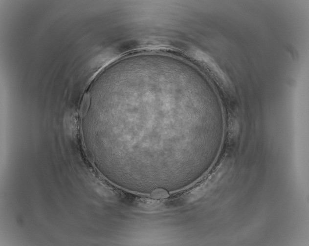 X0000112731361200909031435