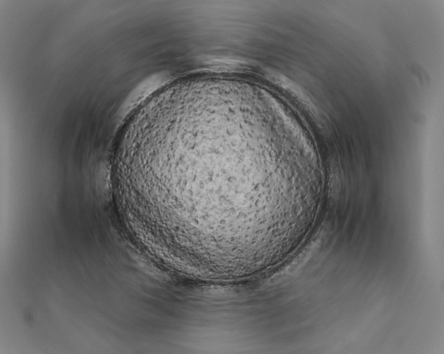 X0000112731362200909031435