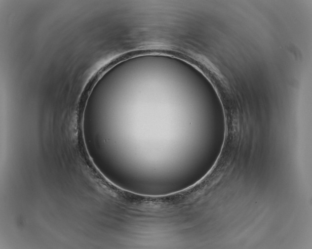 X0000112731364200909031435