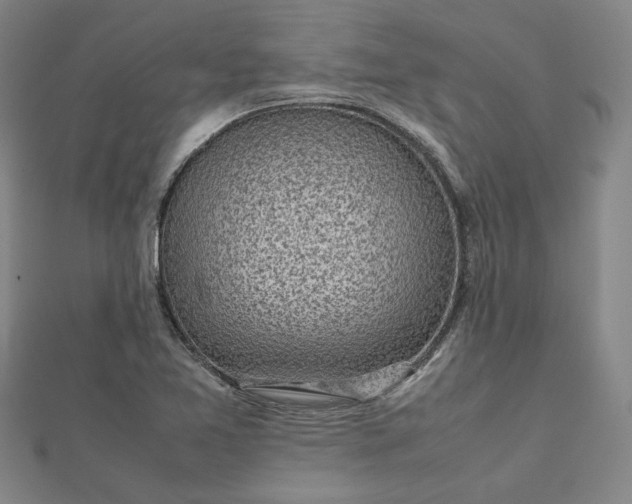 X0000112731365200909031435